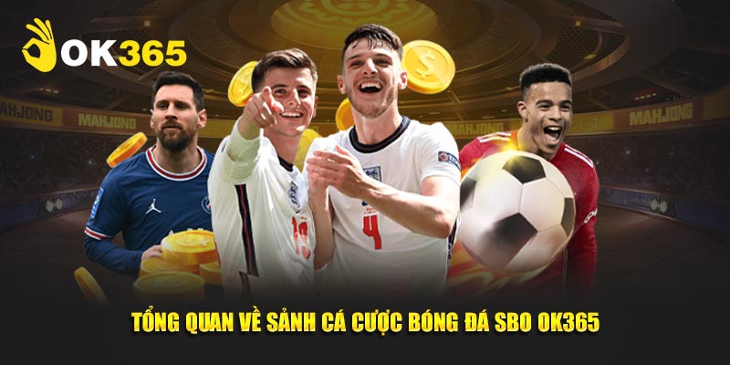 Tổng quan về sảnh cá cược Bóng đá SBO OK365